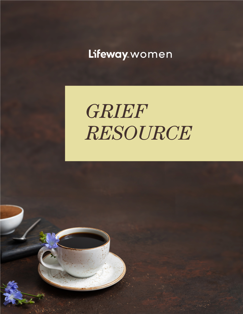 Grief Resource Leading Through Grief