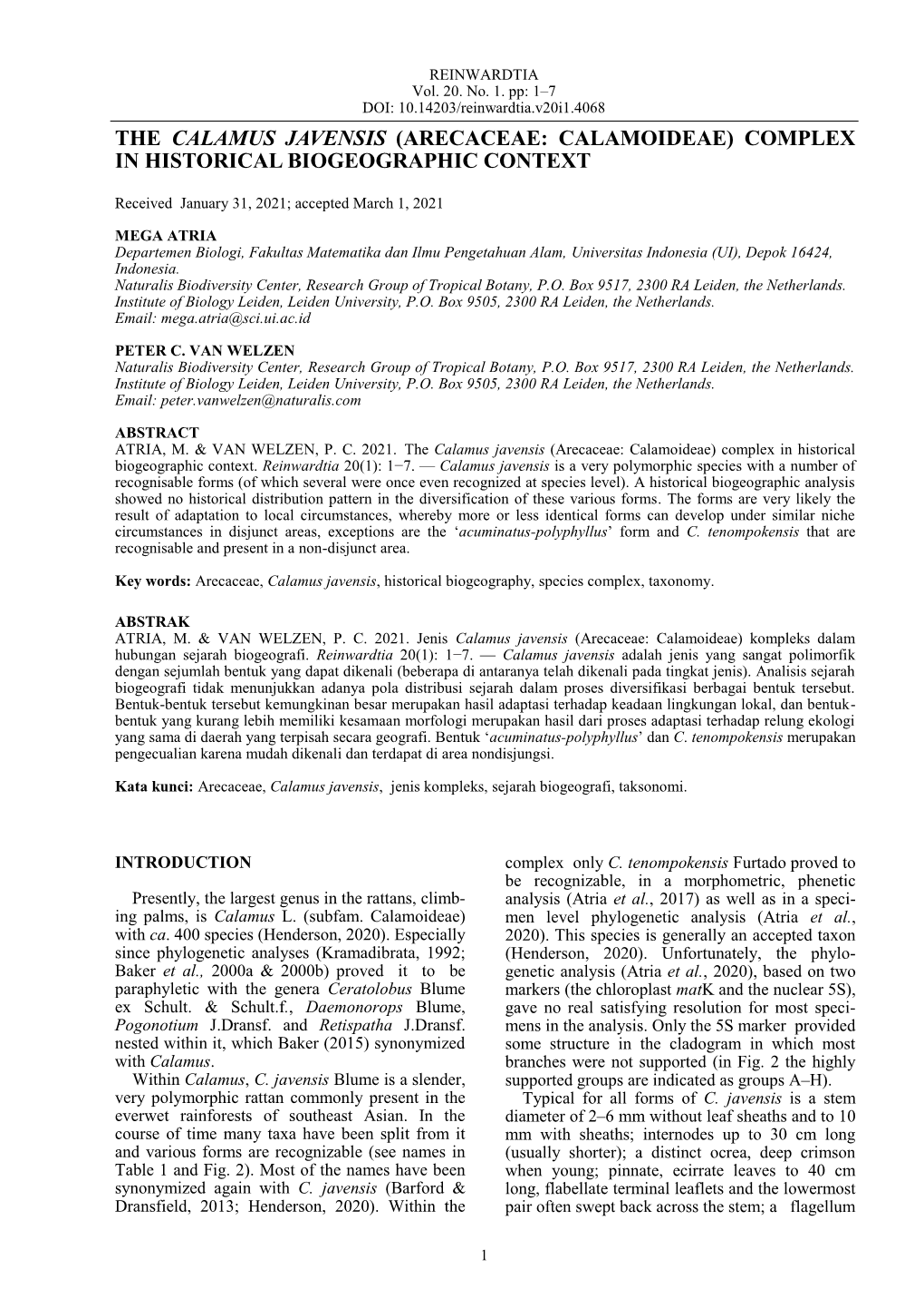 The Calamus Javensis (Arecaceae: Calamoideae) Complex in Historical Biogeographic Context