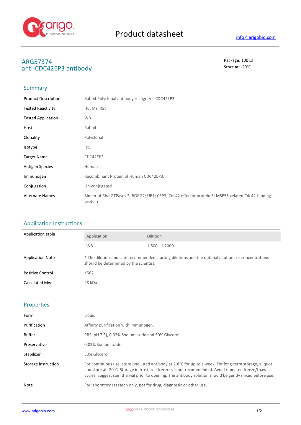 Anti-CDC42EP3 Antibody (ARG57374)