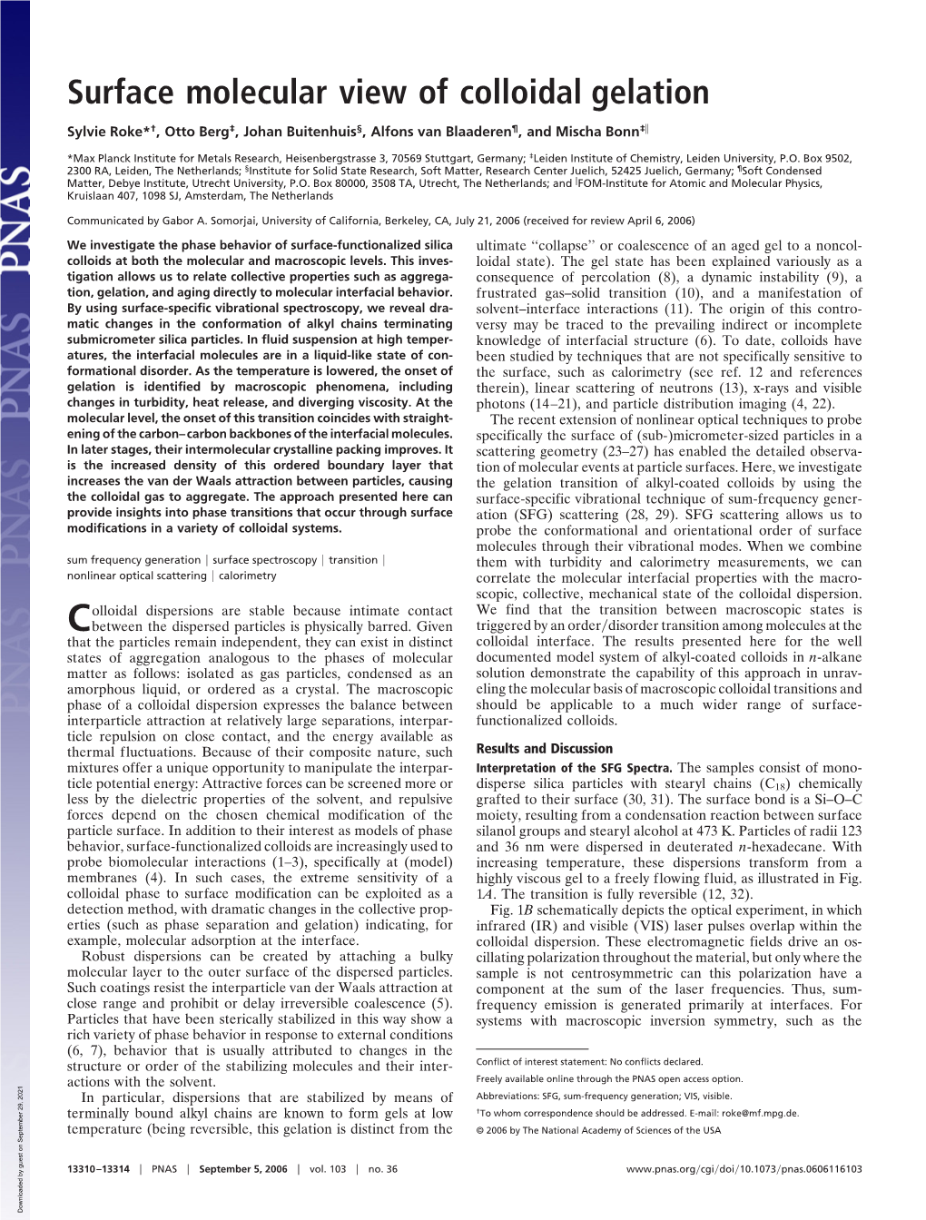 Surface Molecular View of Colloidal Gelation