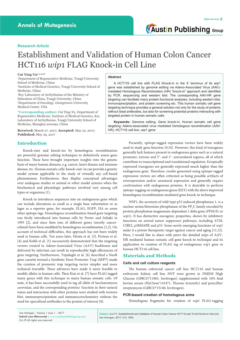 Establishment and Validation of Human Colon Cancer HCT116 Wip1 FLAG Knock-In Cell Line