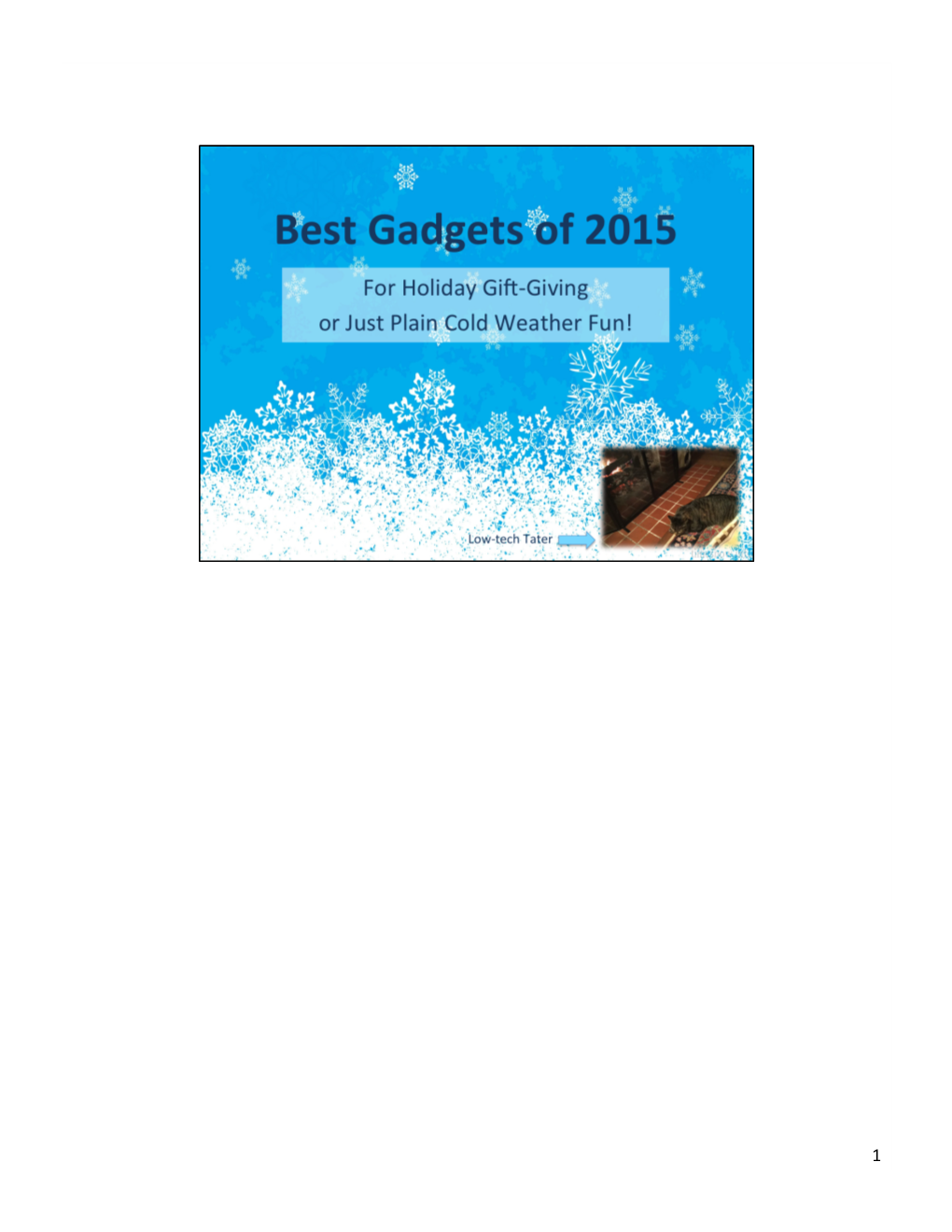 2015 Gadget Presentation