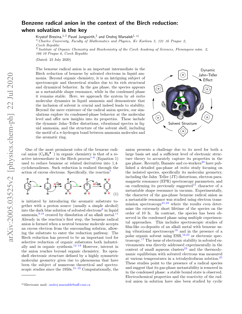 Benzene Radical Anion in the Context of the Birch Reduction: When Solvation Is The