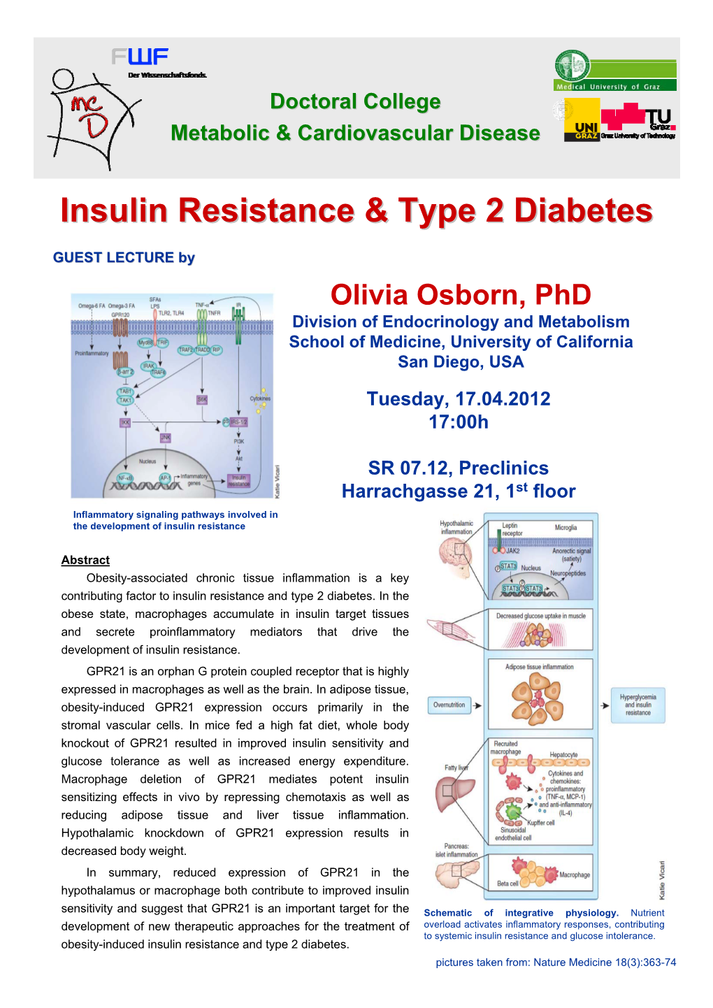 Insulin Resistance & Type 2 Diabetes