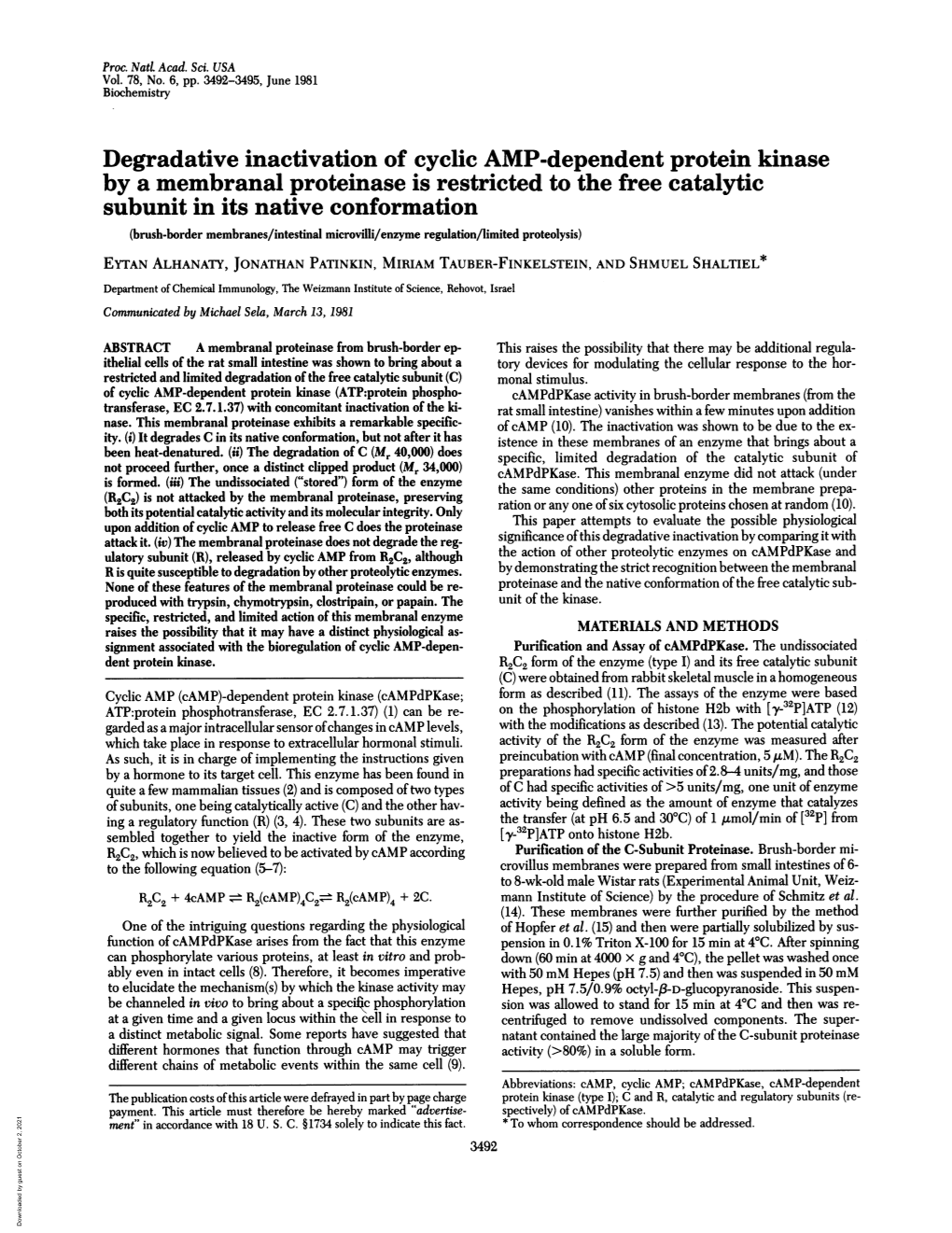 Degradative Inactivation of Cyclic AMP-Dependent Protein