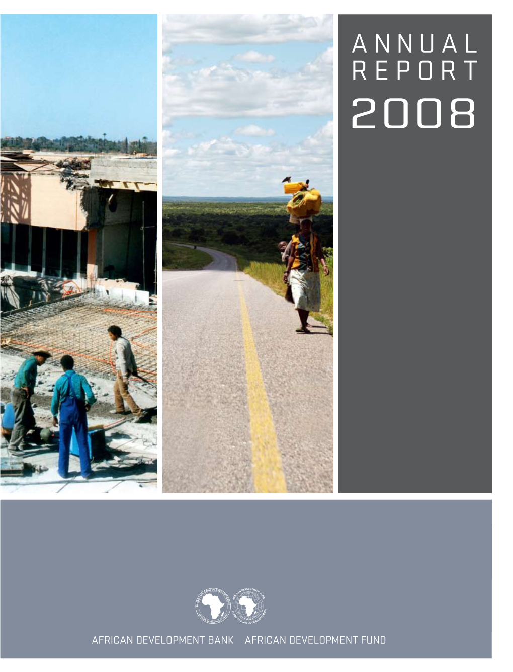 Afdb Group Annual Report 2008