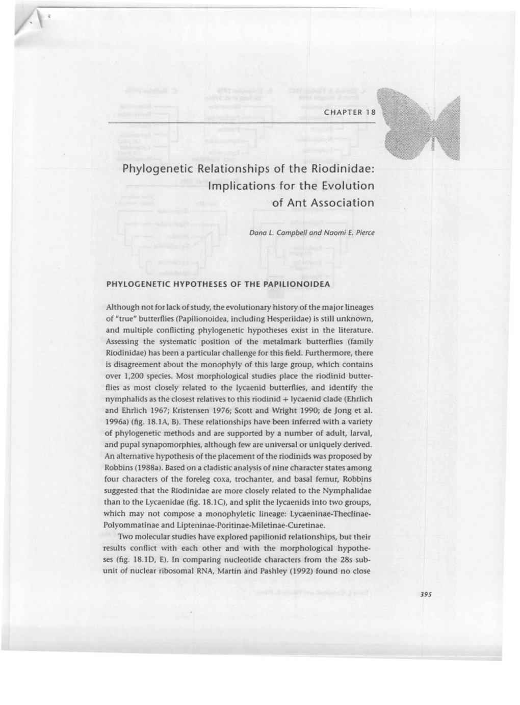 Phylogenetic Relationships of the Riodinidae: Implications for the Evolution of Ant Association