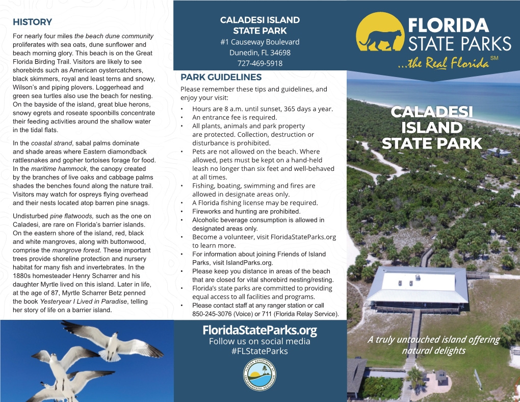 CALADESI ISLAND STATE PARK for Nearly Four Miles the Beach Dune Community Proliferates with Sea Oats, Dune Sunflower and #1 Causeway Boulevard Beach Morning Glory