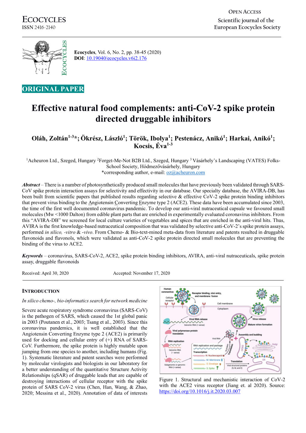 Anti-Cov-2 Spike Protein Directed Druggable Inhibitors