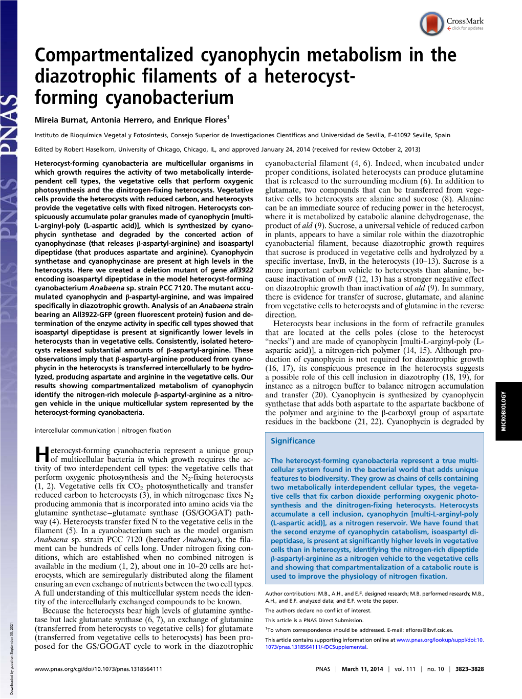 Compartmentalized Cyanophycin Metabolism in the Diazotrophic Filaments of a Heterocyst- Forming Cyanobacterium