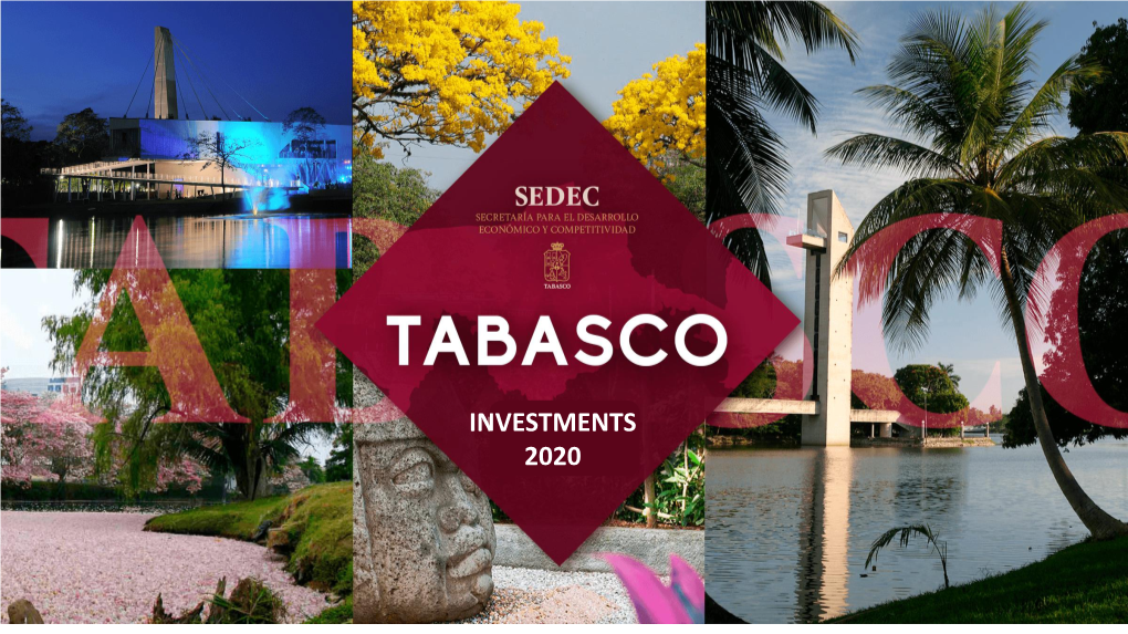 Tabasco Investment.Pdf