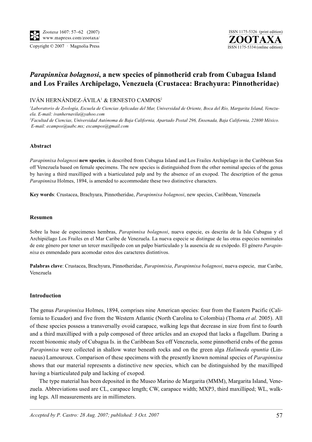 Zootaxa, Parapinnixa Bolagnosi, a New Species of Pinnotherid Crab