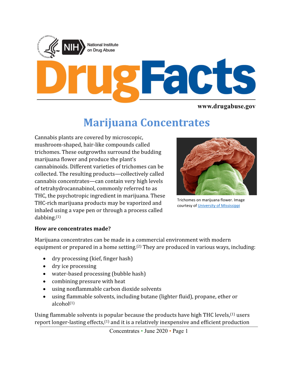 Marijuana Concentrates Cannabis Plants Are Covered by Microscopic, Mushroom-Shaped, Hair-Like Compounds Called Trichomes