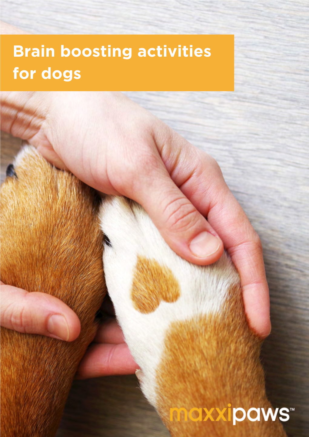 Brain Boosting Activities for Dogs Use It Or Lose It