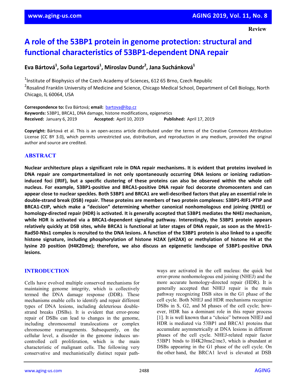 Structural and Functional Characteristics of 53BP1-Dependent DNA Repair