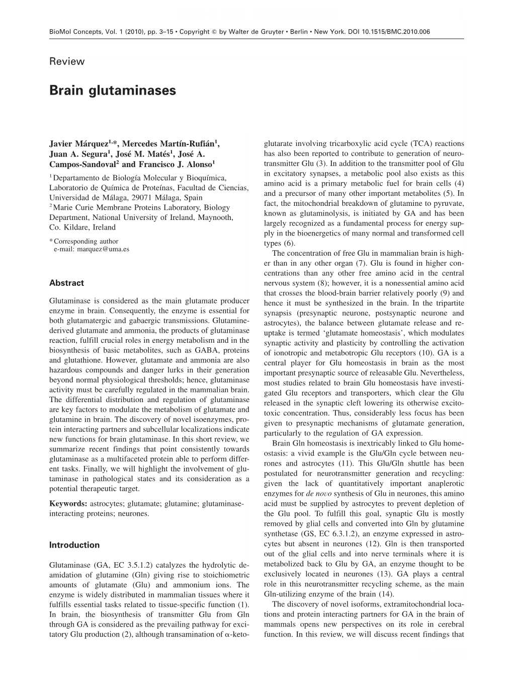 Brain Glutaminases