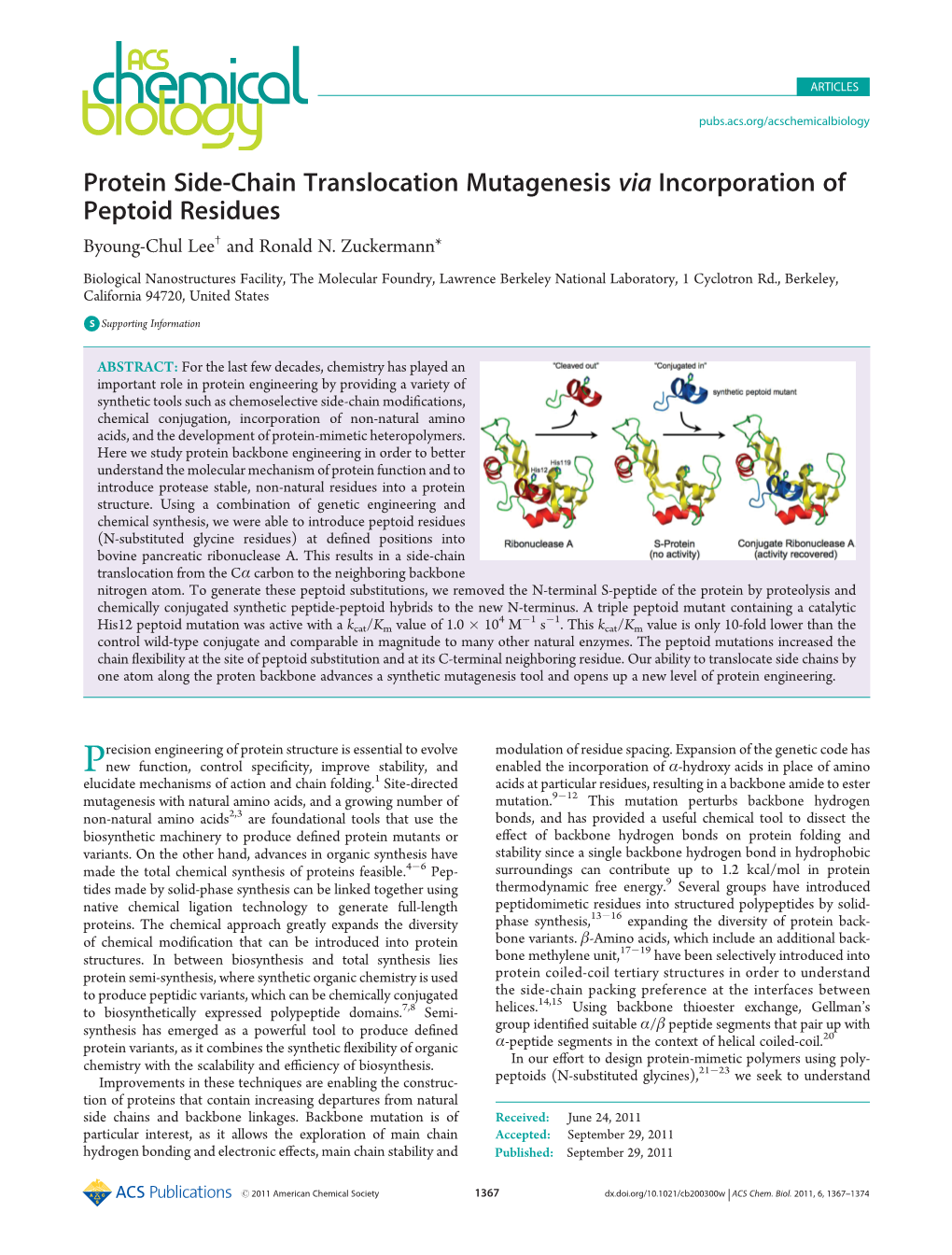 Protein Side-Chain Translocation Mutagenesis Via Incorporation of Peptoid Residues † Byoung-Chul Lee and Ronald N