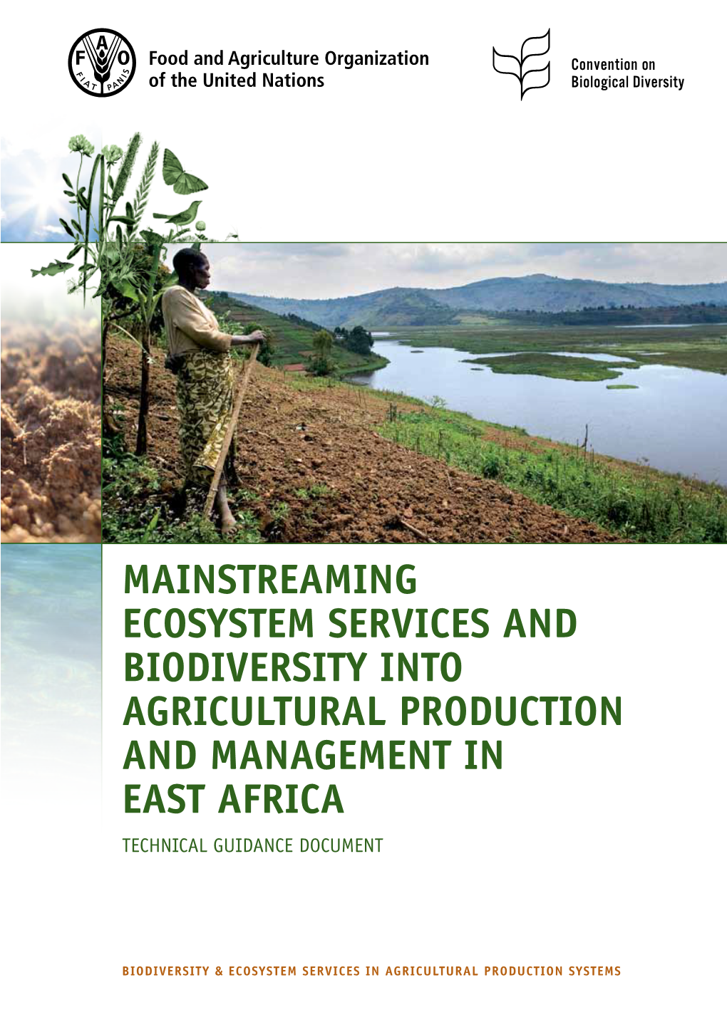 Mainstreaming Ecosystem Services and Biodiversity Into Agricultural Production and Management in East Africa Technical Guidance Document