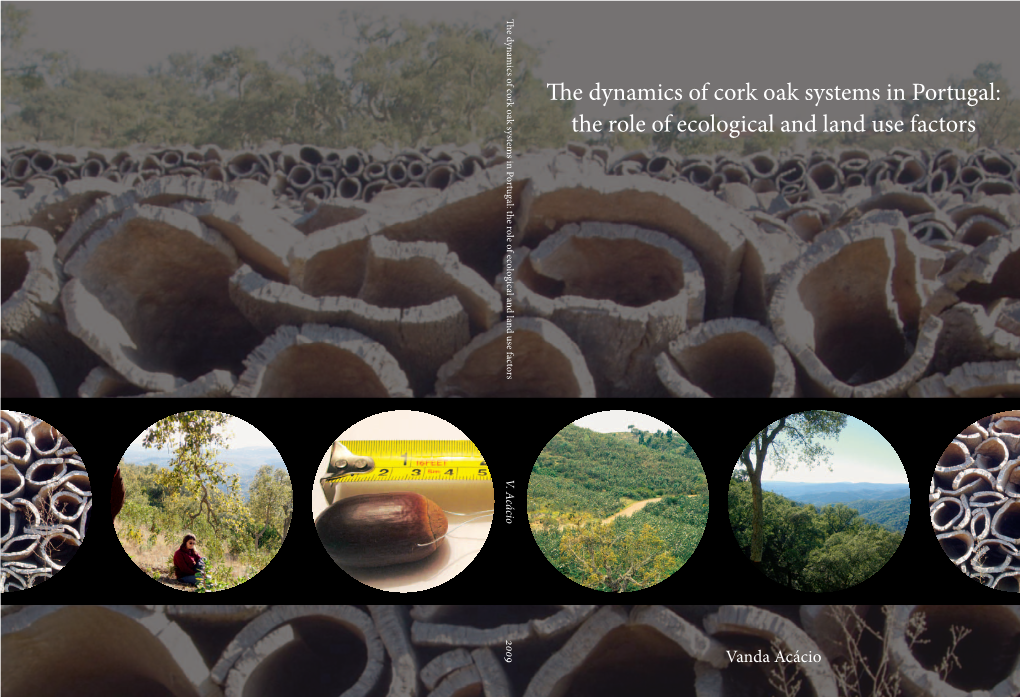 The Dynamics of Cork Oak Systems in Portugal: the Role of Ecological and Land Use Factors V
