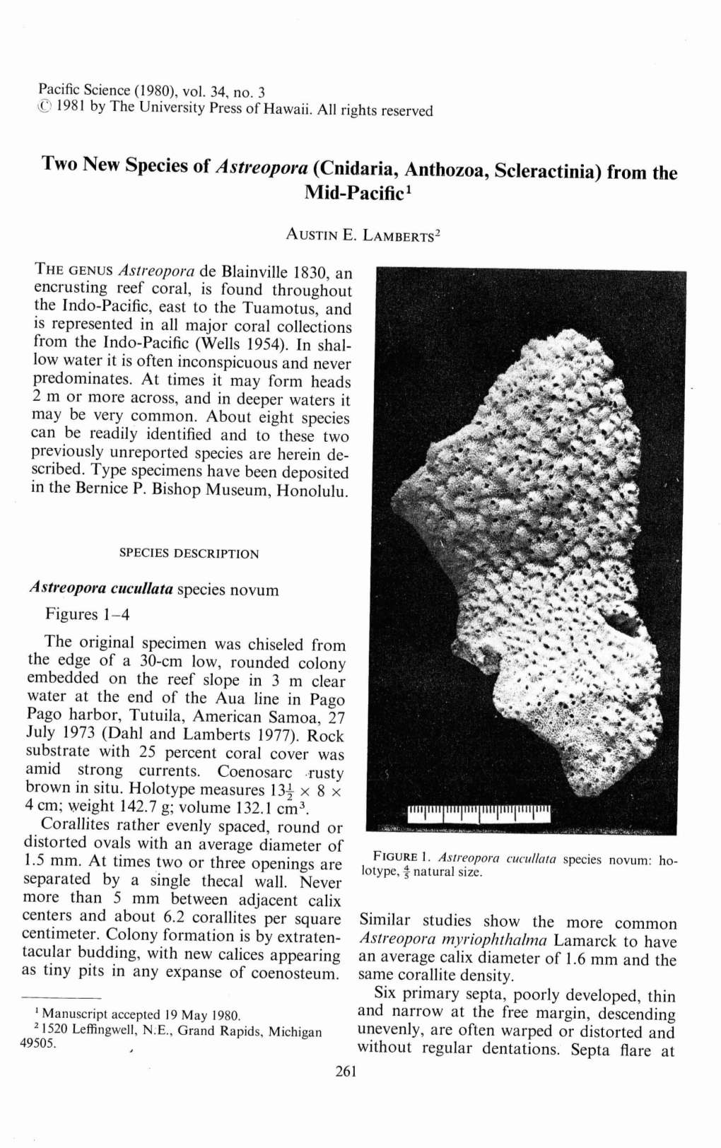 Two New Species of Astreopora (Cnidaria, Anthozoa, Scleractinia) from the Mid-Pacific!