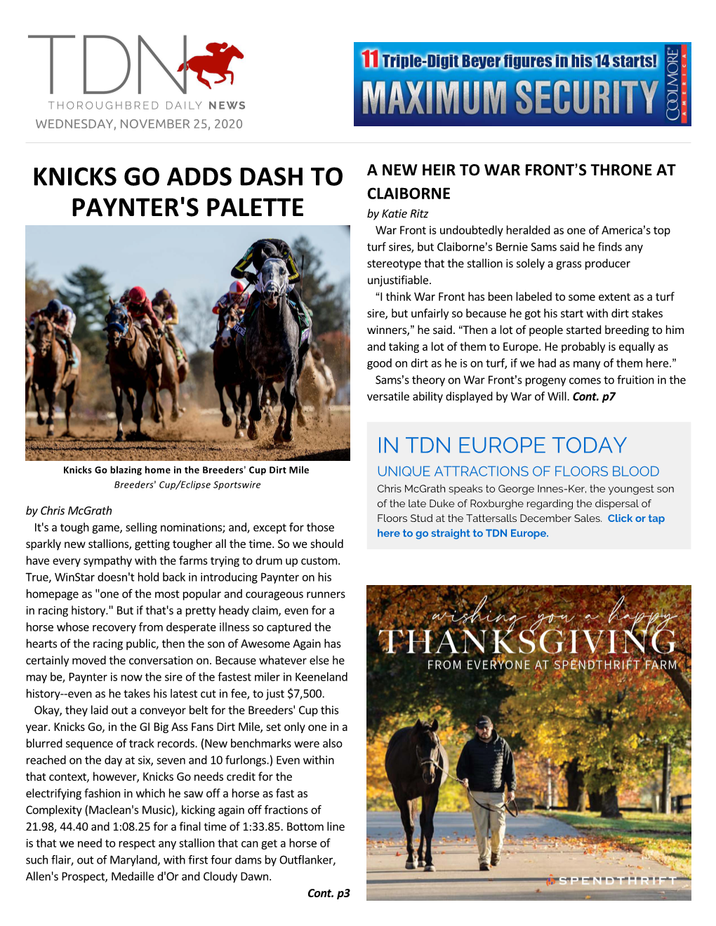 Knicks Go Adds Dash to Paynter's Palette