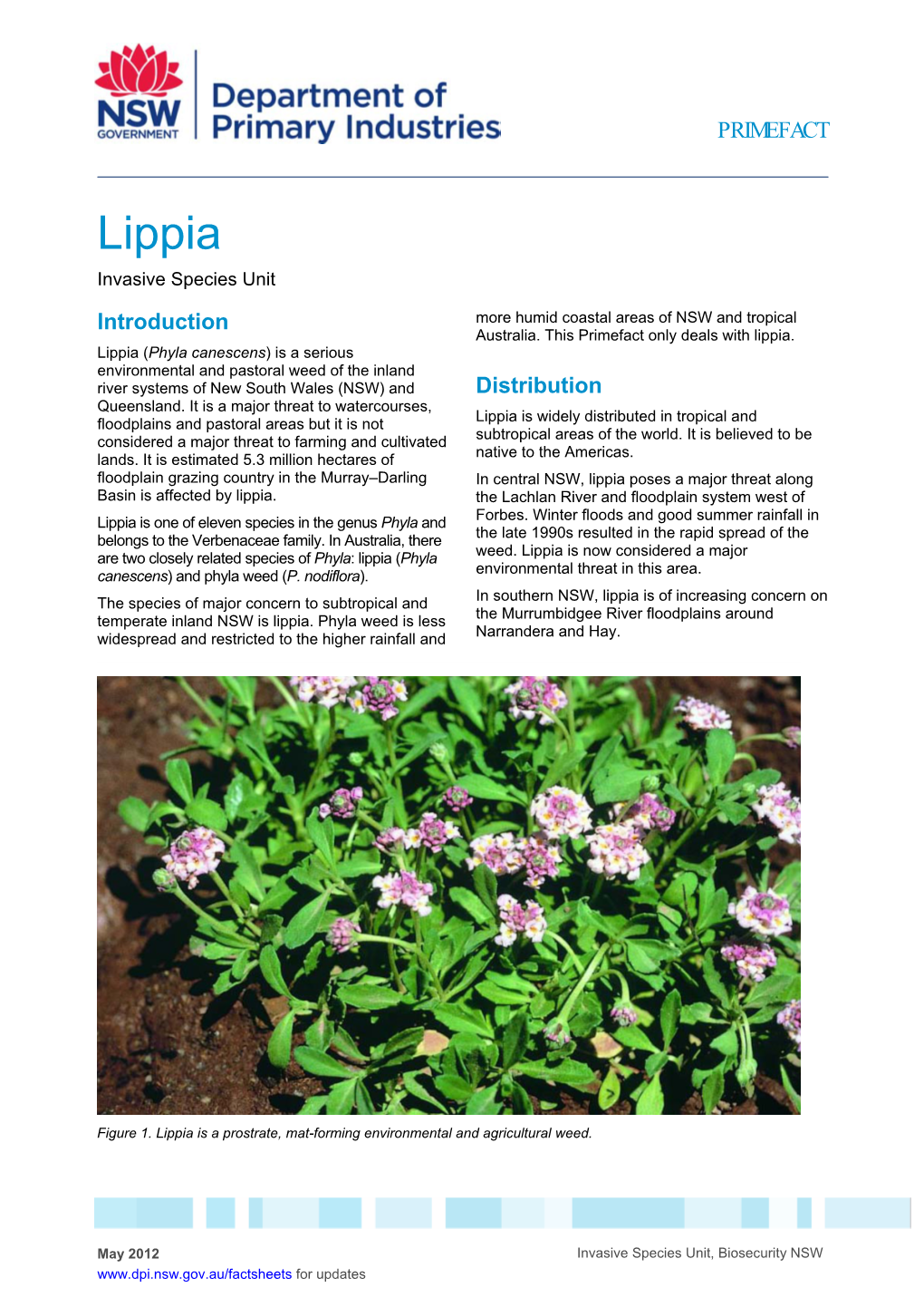 Lippia Invasive Species Unit Introduction More Humid Coastal Areas of NSW and Tropical Australia