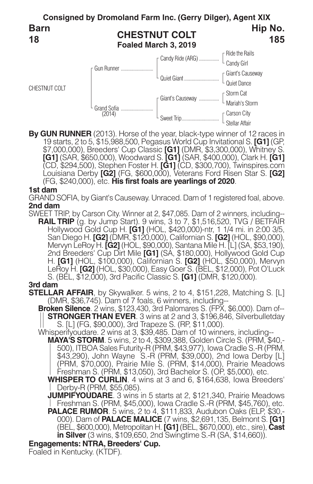 CHESTNUT COLT Barn 18 Hip No