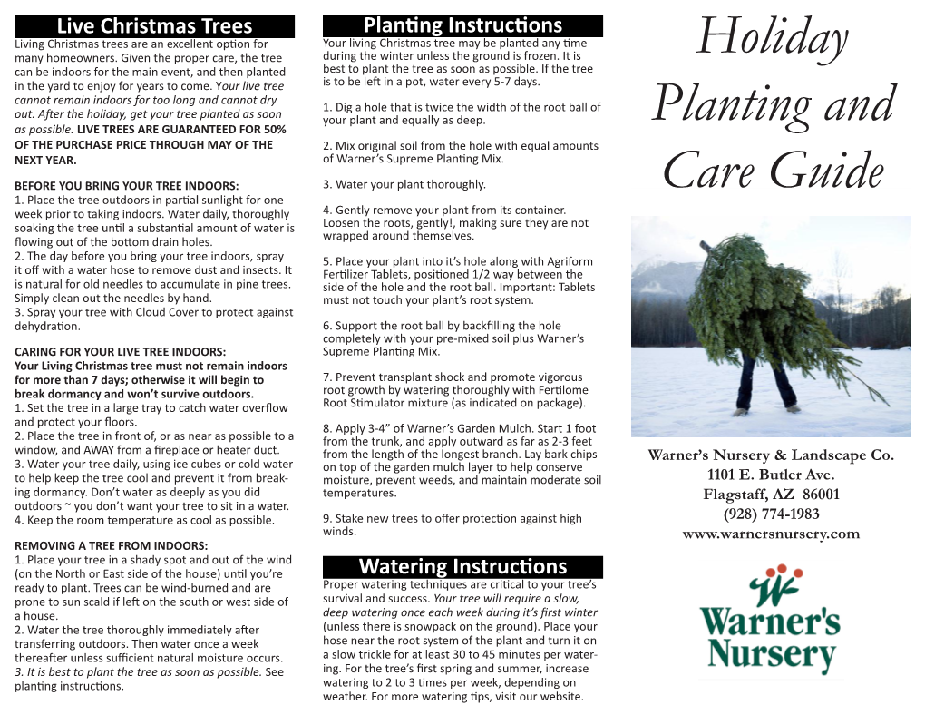 Live Christmas Trees Planting Instructions Living Christmas Trees Are an Excellent Option for Your Living Christmas Tree May Be Planted Any Time Many Homeowners