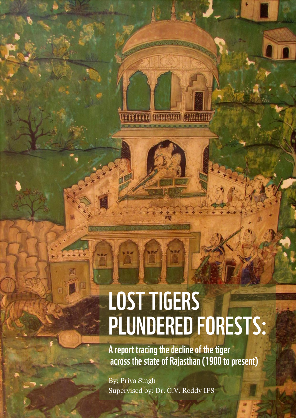 LOST TIGERS PLUNDERED FORESTS: a Report Tracing the Decline of the Tiger Across the State of Rajasthan (1900 to Present)