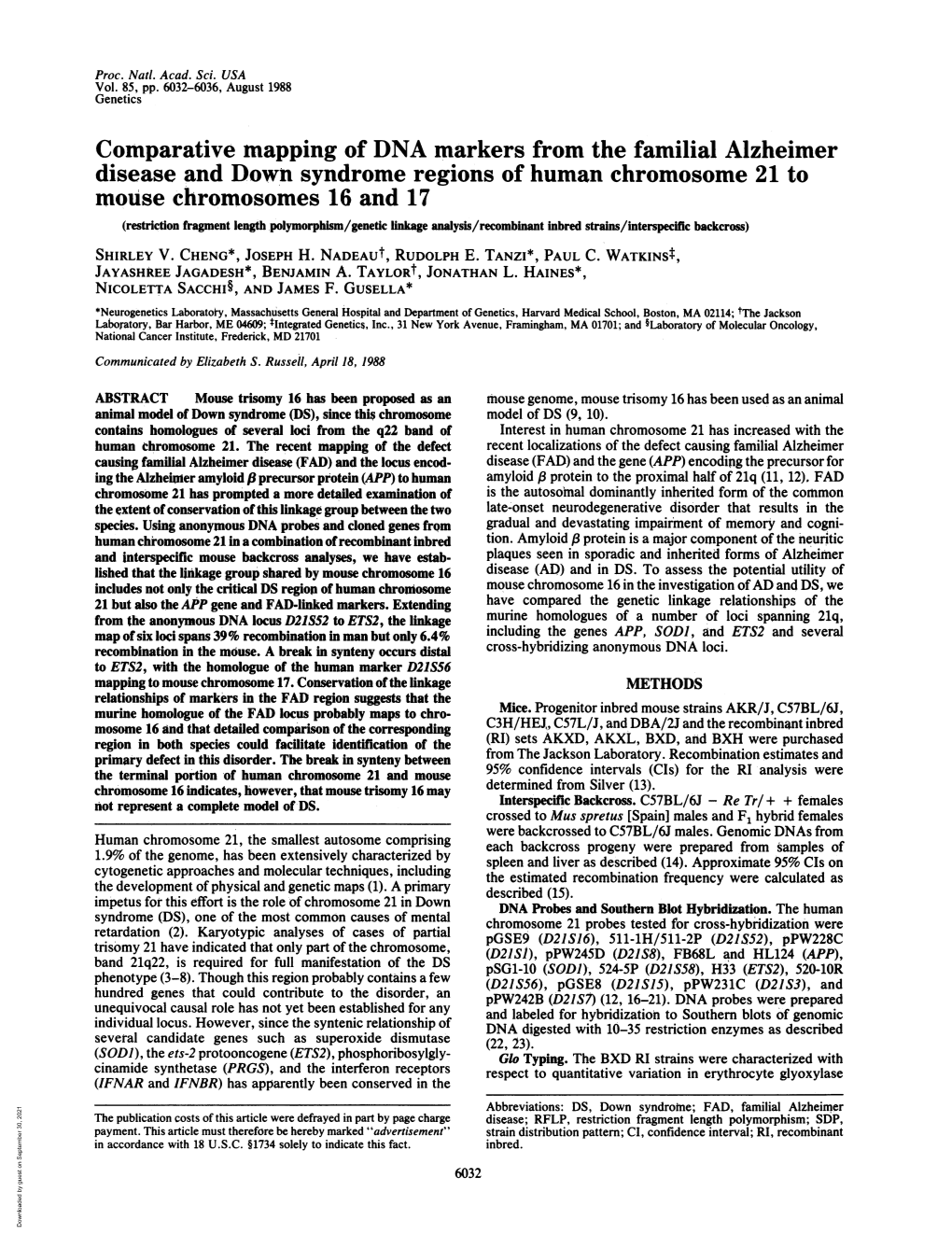 Comparative Mapping of DNA Markers from the Familial Alzheimer Mouse Chromosomes 16 and 17