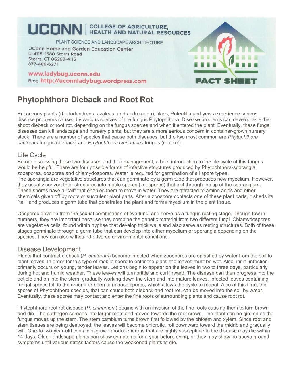 Phytophthora Dieback and Root Rot