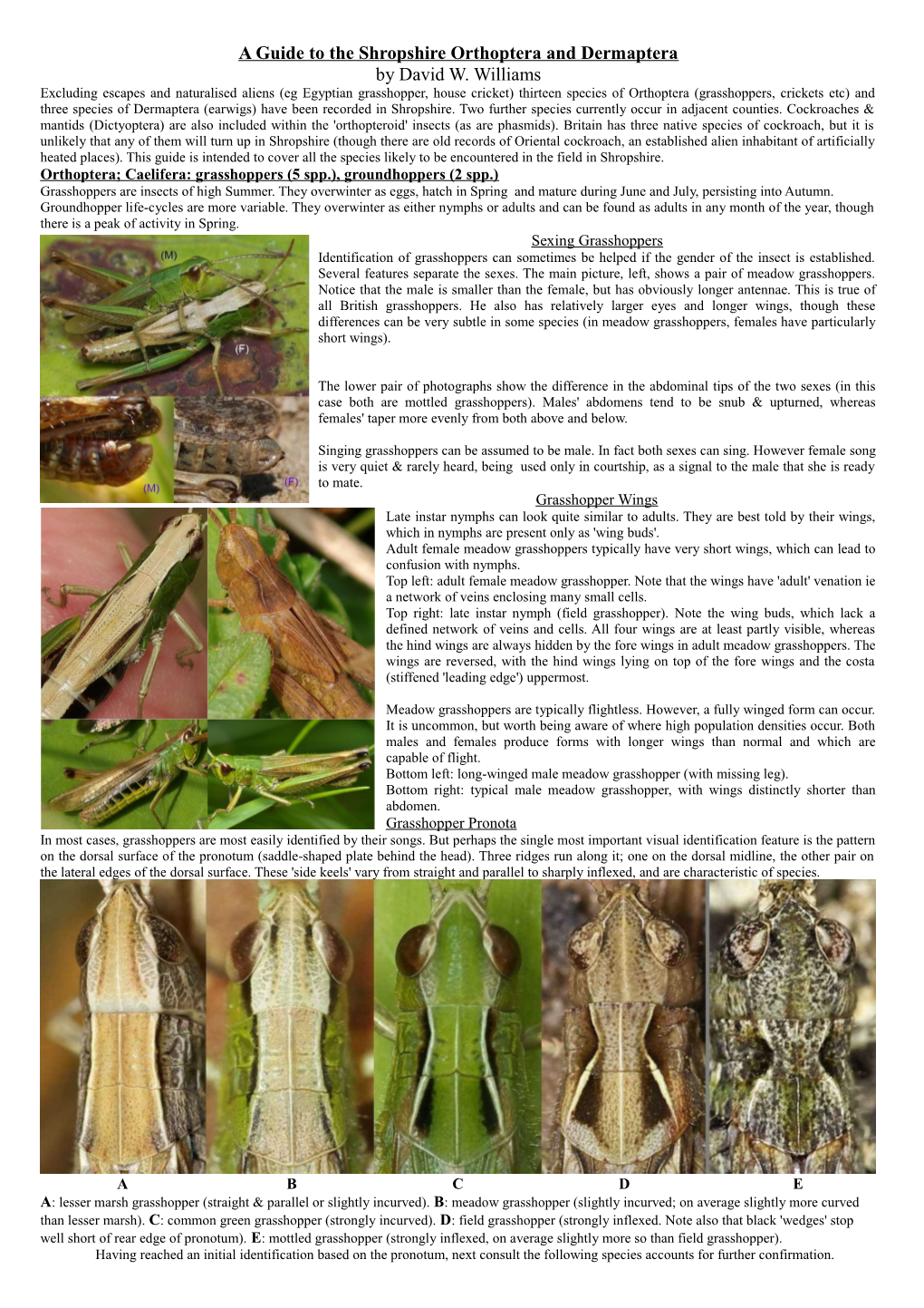 A Guide to the Shropshire Orthoptera and Dermaptera by David W. Williams