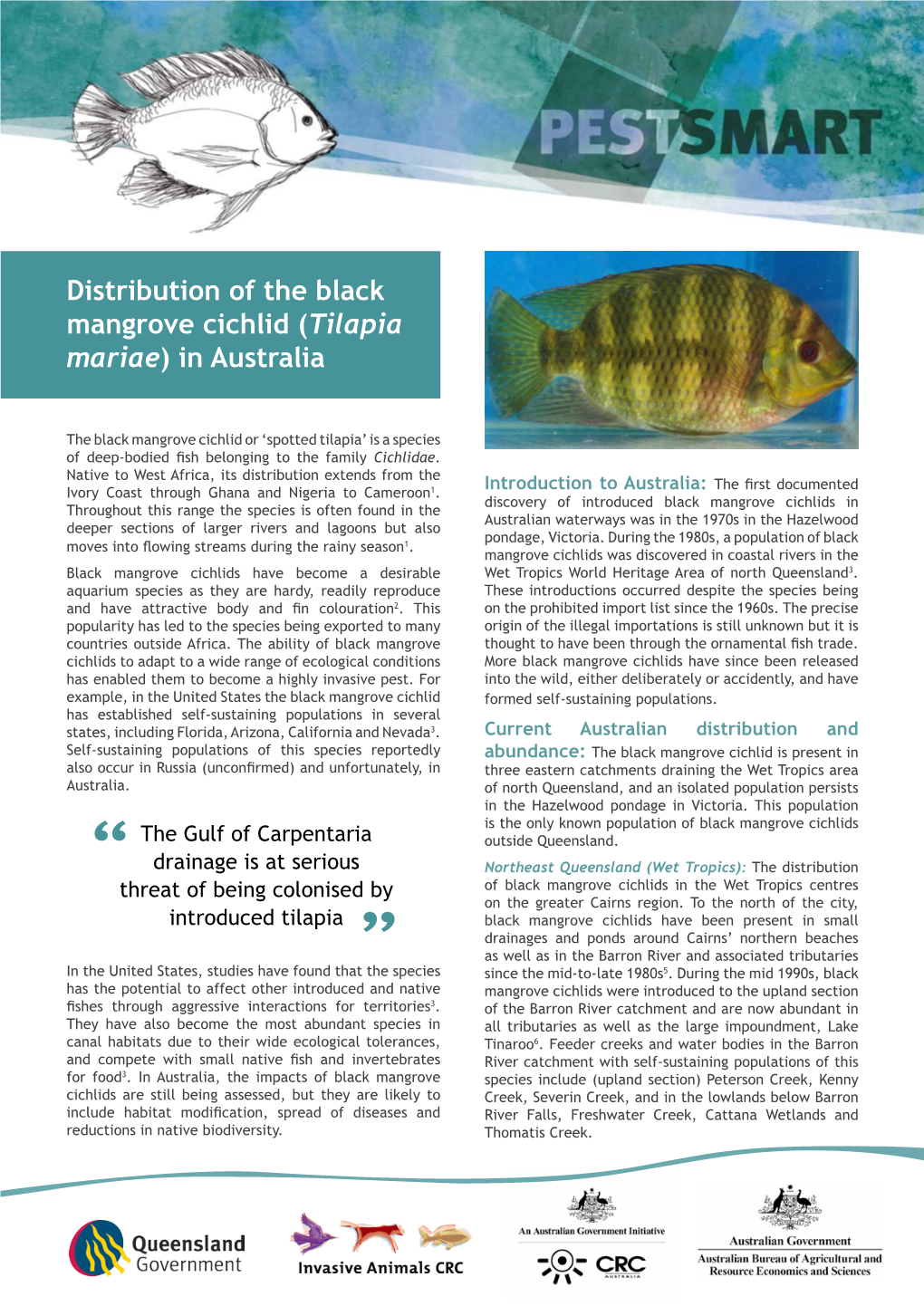 Distribution of the Black Mangrove Cichlid (Tilapia Mariae) in Australia