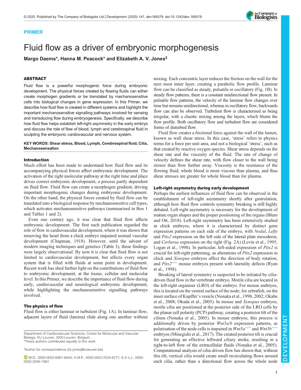 Fluid Flow As a Driver of Embryonic Morphogenesis Margo Daems*, Hanna M