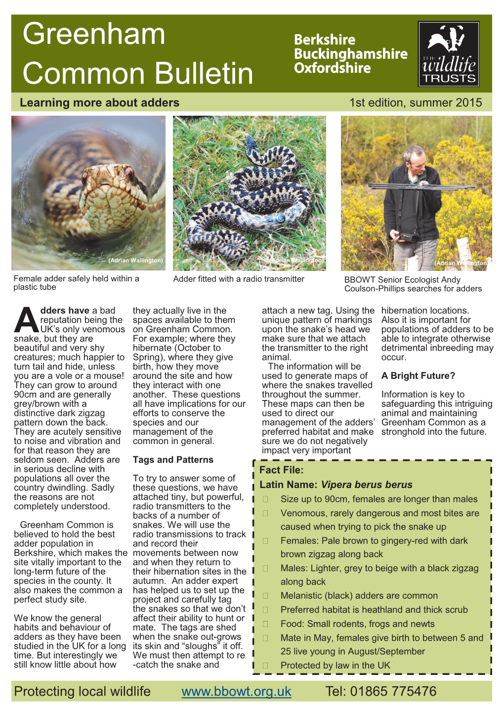 Greenham Common Bulletin Learning More About Adders 1St Edition, Summer 2015