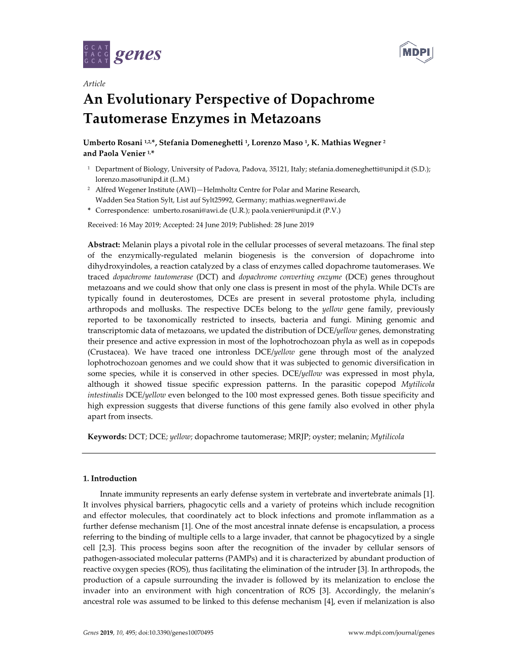 An Evolutionary Perspective of Dopachrome Tautomerase Enzymes in Metazoans