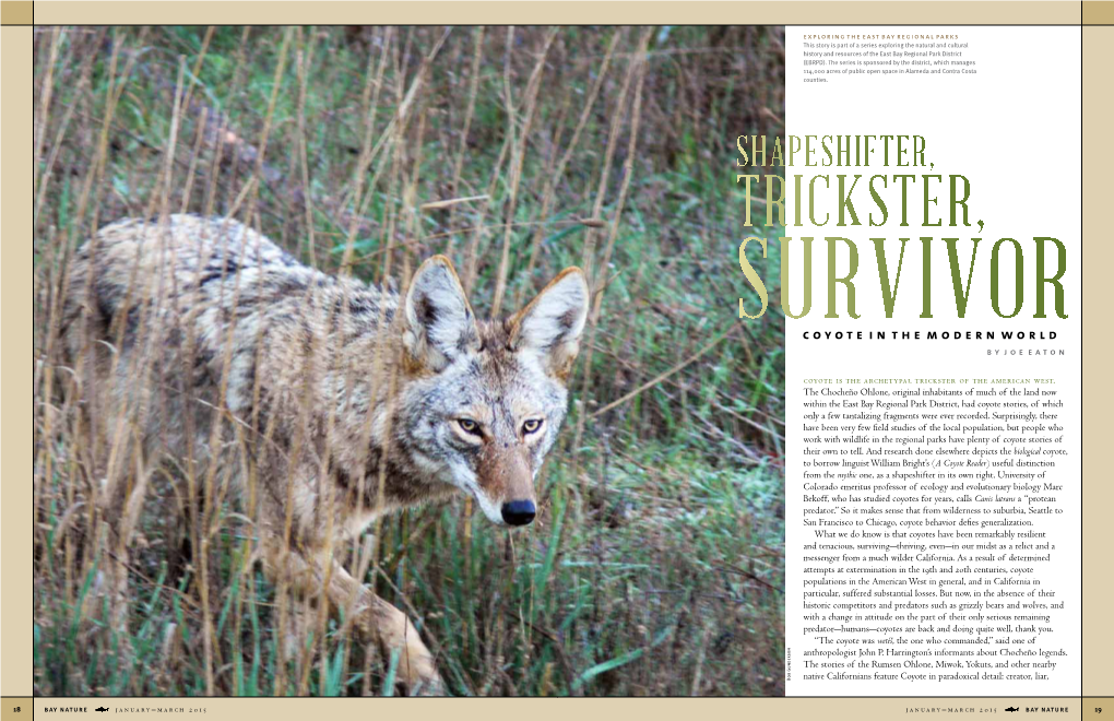 Shapeshifter, TRICKSTER, SURVIVOR Coyote in the Modern World by Joe Eaton