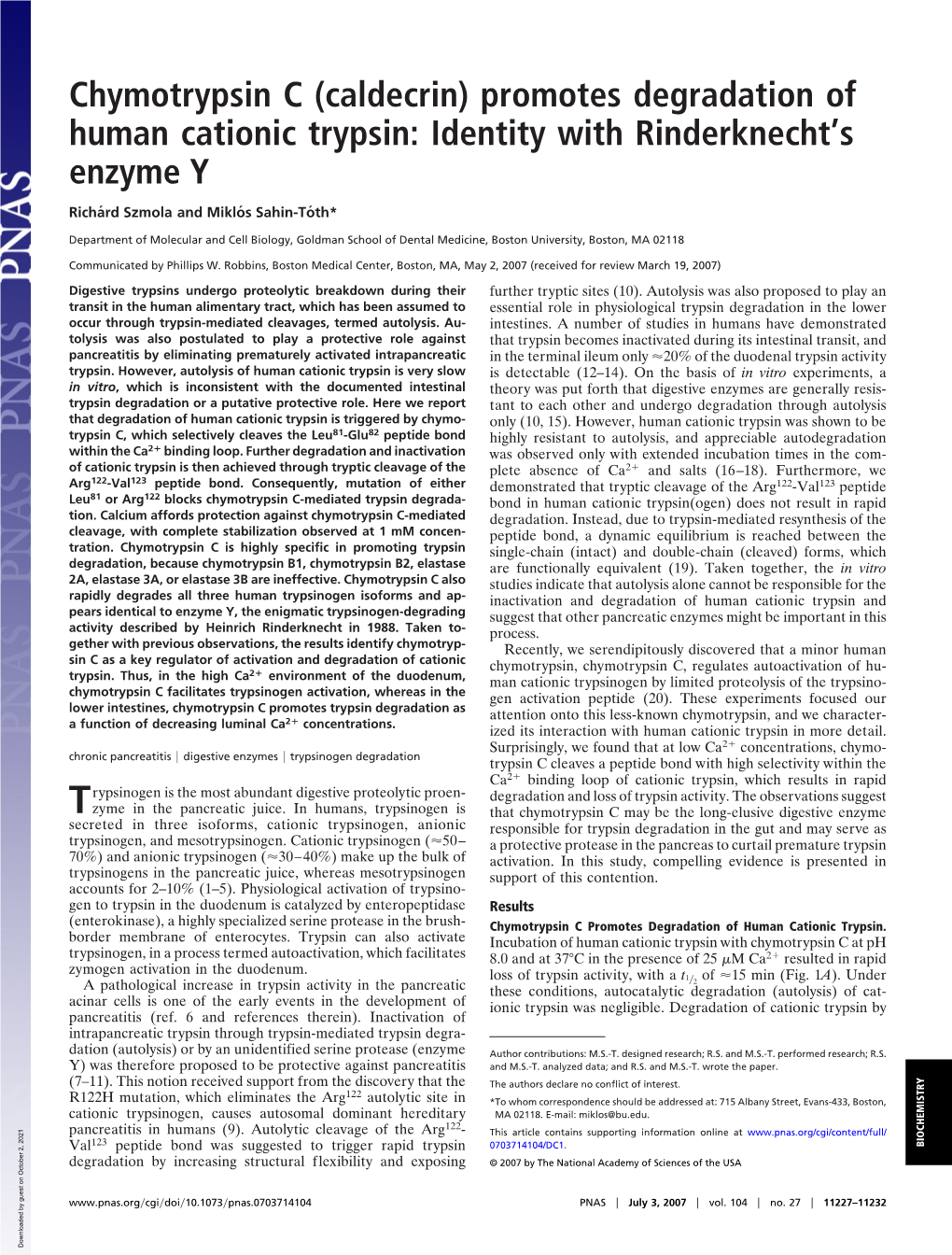 Chymotrypsin C (Caldecrin) Promotes Degradation of Human Cationic Trypsin: Identity with Rinderknecht’S Enzyme Y