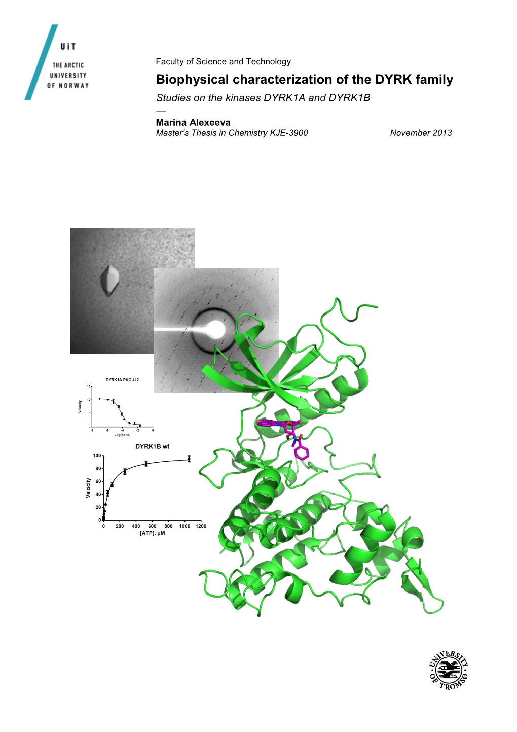 Biophysical Characterization of the DYRK Family Studies on the Kinases DYRK1A and DYRK1B — Marina Alexeeva Master’S Thesis in Chemistry KJE-3900 November 2013