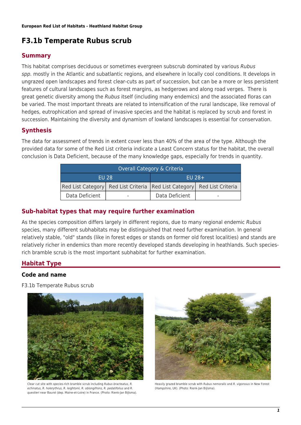 F3.1B Temperate Rubus Scrub