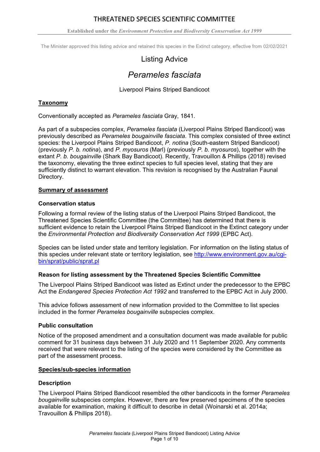 Listing Advice Perameles Fasciata Liverpool Plains Striped Bandicoot