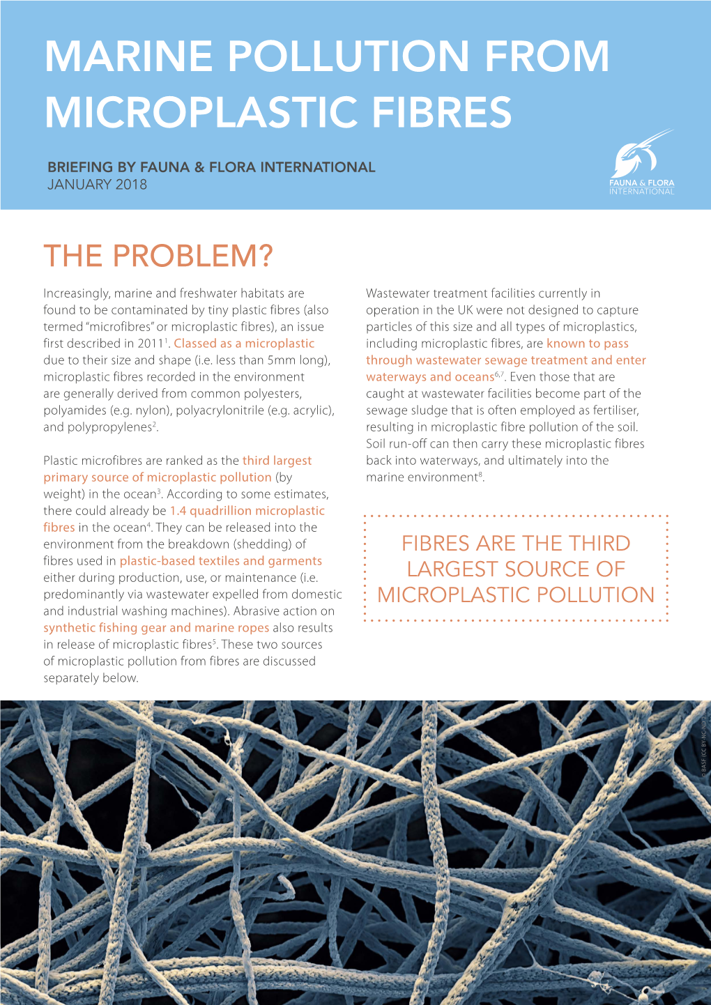 Marine Pollution from Microplastic Fibres