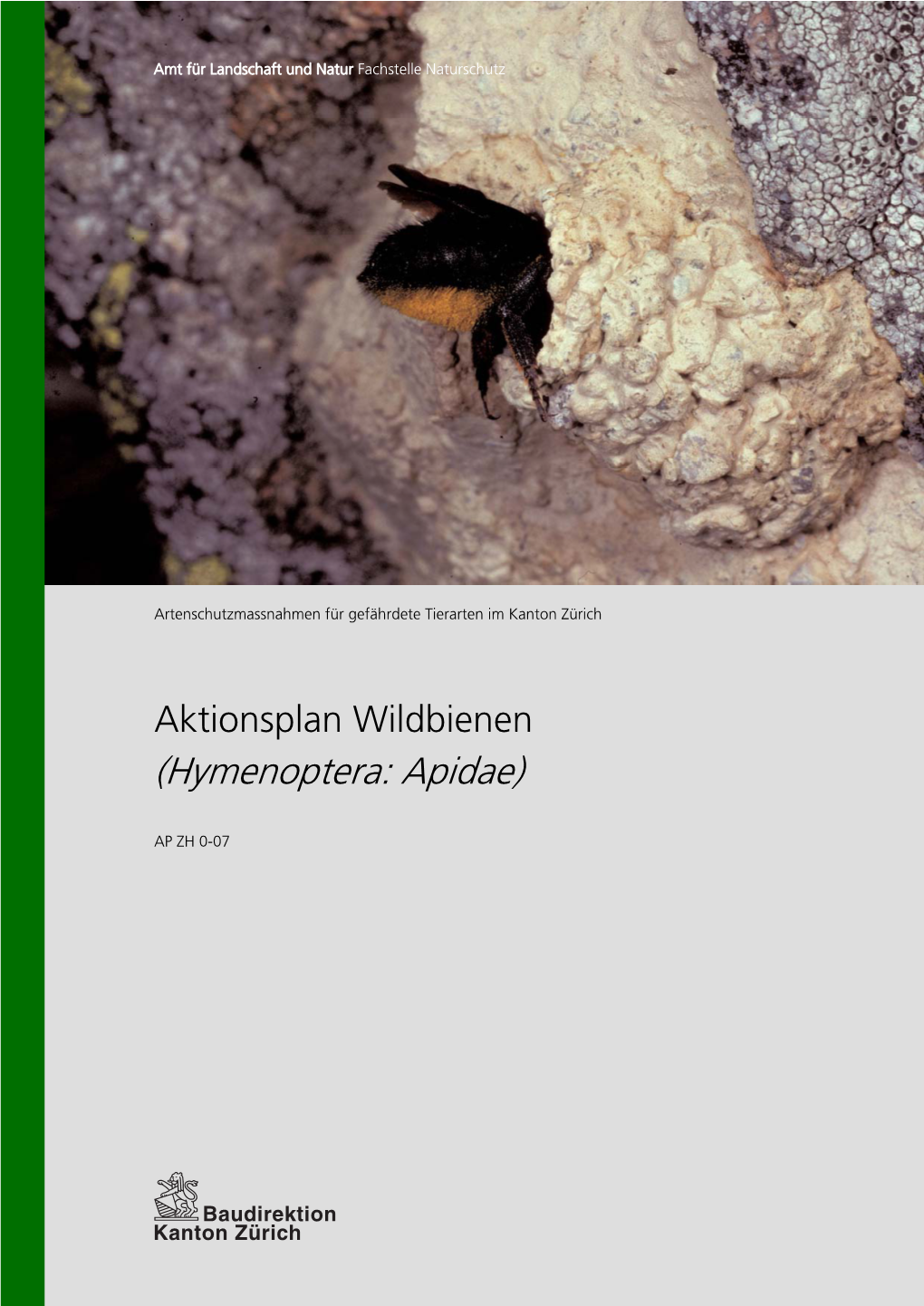 Aktionsplan Wildbienen (Hymenoptera: Apidae)