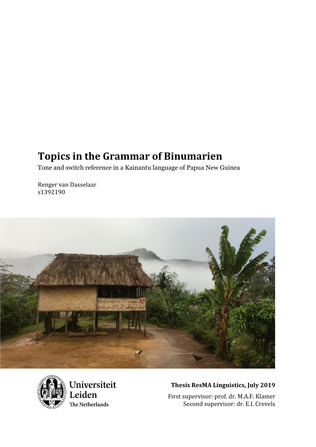 Topics in the Grammar of Binumarien Tone and Switch Reference in a Kainantu Language of Papua New Guinea