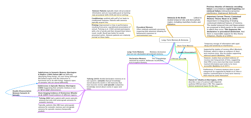 Long Term Memory & Amnesia
