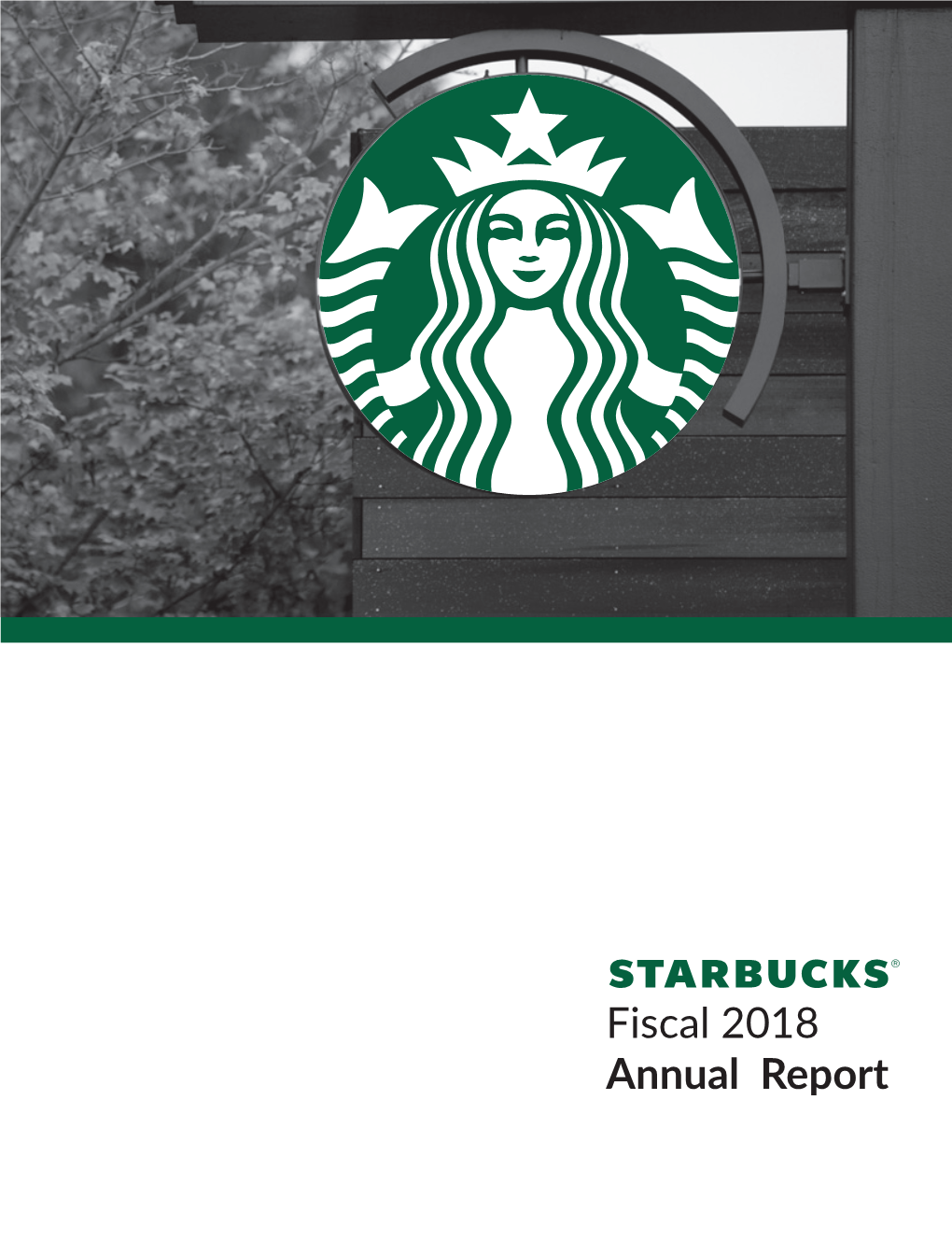 Fiscal 2018 Annual Report