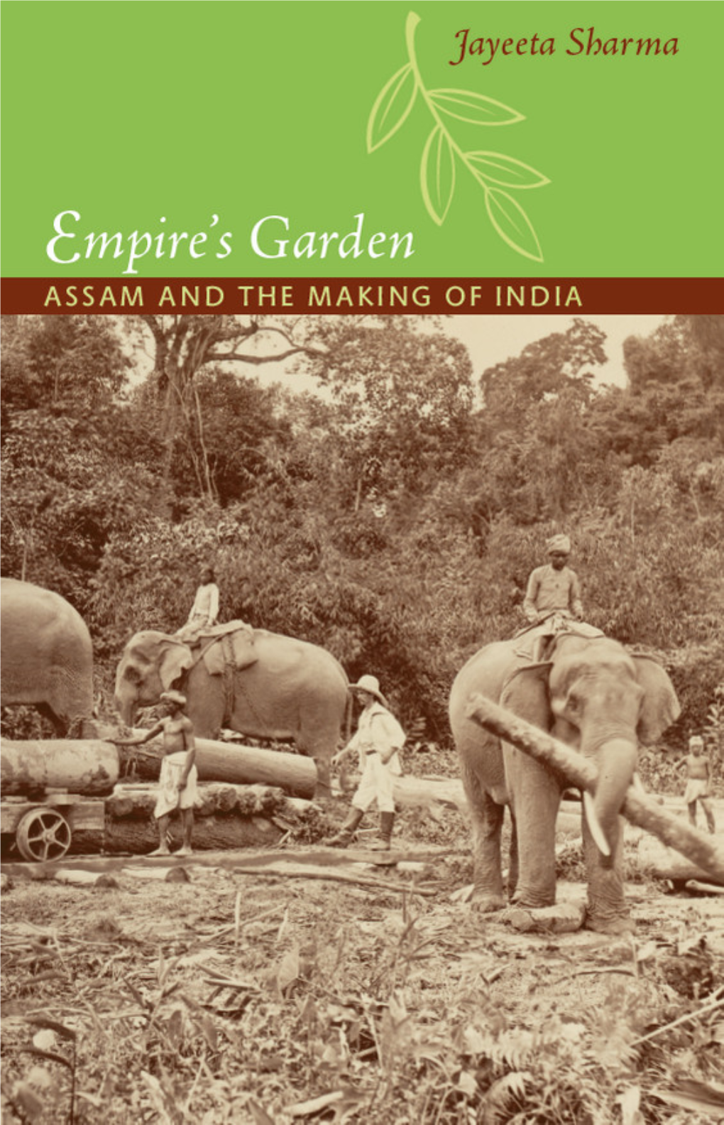 Empire's Garden: Assam and the Making of India