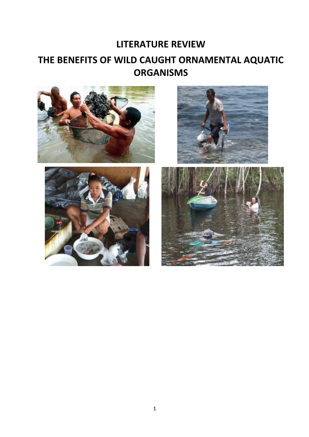 Literature Review the Benefits of Wild Caught Ornamental Aquatic Organisms