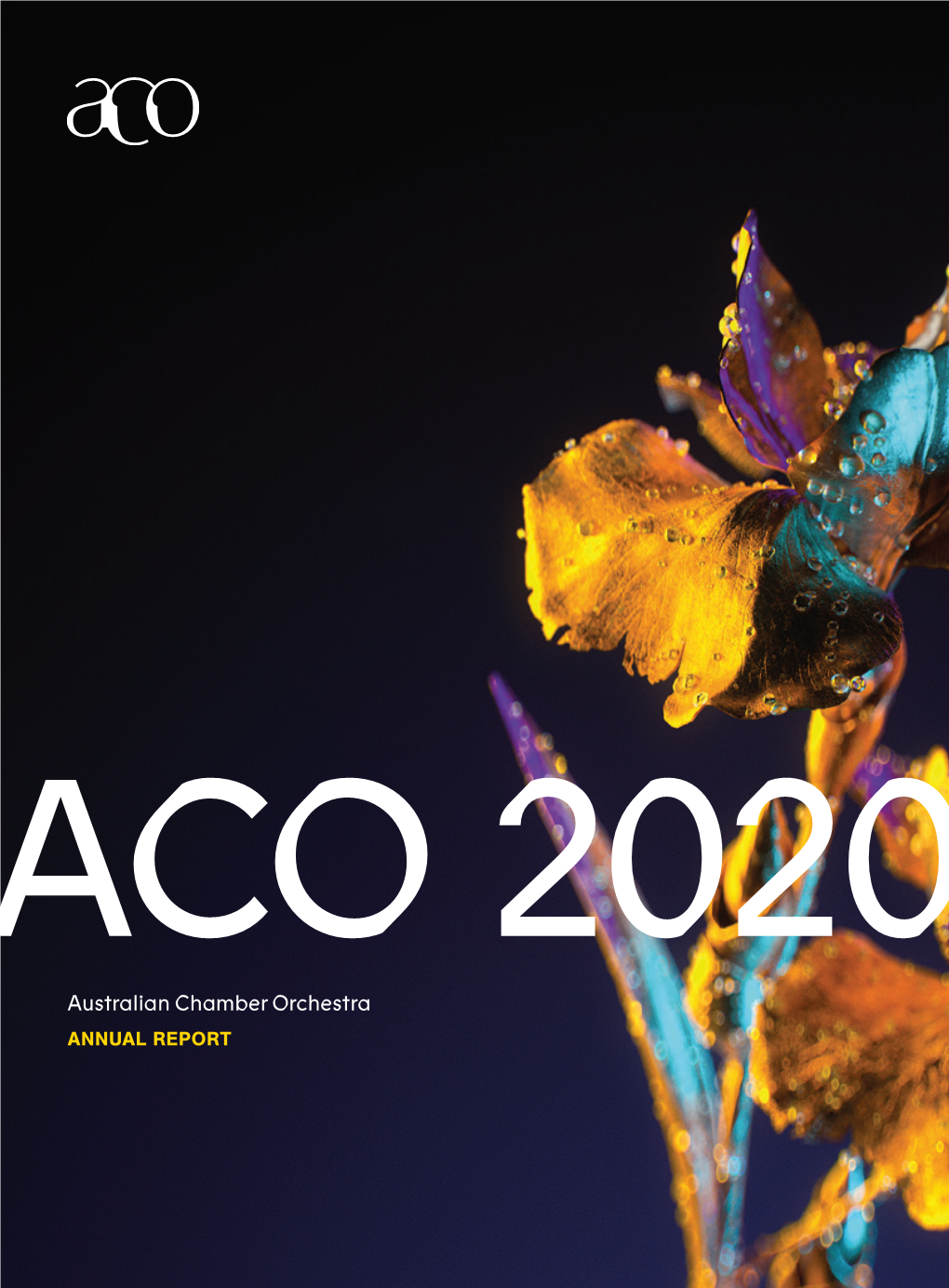 ACO Annual Report