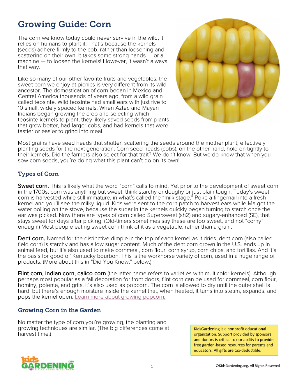 Growing Guide: Corn
